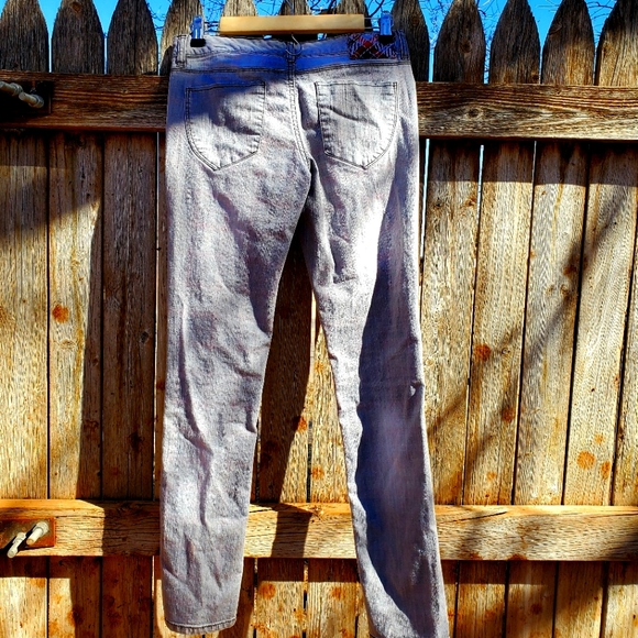 Bongo - Picture 6 of 9